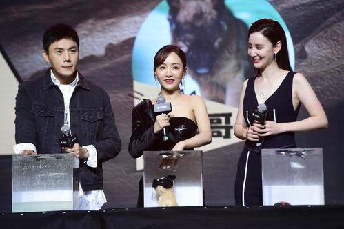 近期吃瓜汇总非娱乐圈